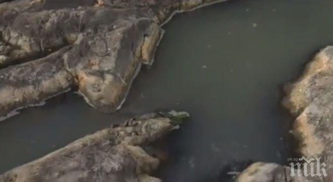 Белоградчишки села пропищяха: Мандра замърсява река, миризмата е непоносима
