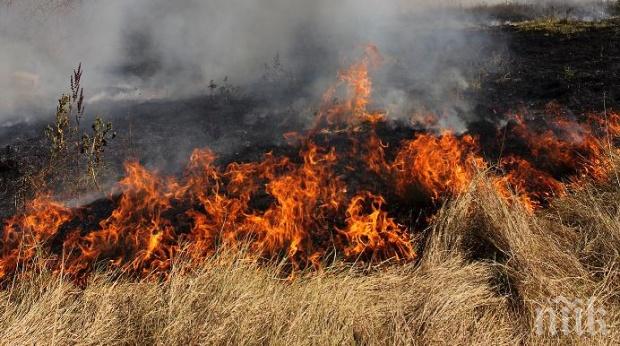 Тракторист подпалил тревите край Лисово, изгоряха 3000 декара
