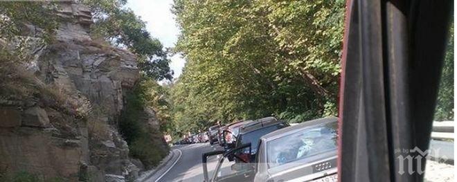 Безумна тапа на пътя за Бачково! Шофьор изригна: Овце сме!