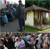 ИЗВЪНРЕДНО В ПИК! Става страшно - тълпи от мигранти заляха Северозападна България