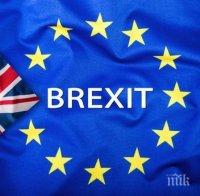 Мартин Селмайер ще води антибританската кампания по време на преговорите на ЕС за Брекзит