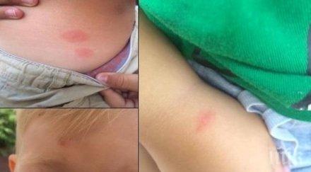 скандал семейство преживя кошмарна почивка баровски хотел морето