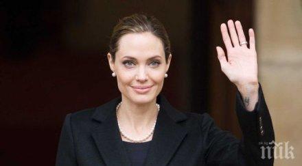 анджелина джоли преподава университета джорджтаун