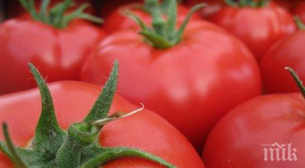 брюксел посяга розовия домат