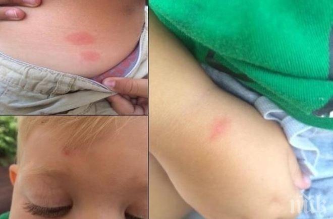 СКАНДАЛ! Семейство преживя кошмарна почивка в баровски хотел на морето