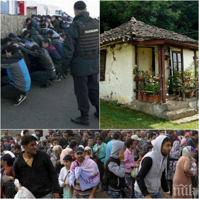 ИЗВЪНРЕДНО В ПИК! Става страшно - тълпи от мигранти заляха Северозападна България