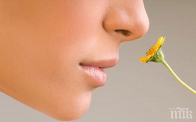 ЗЛОВЕЩО! Загубата на обоняние e предупредителен знак, че умирате!