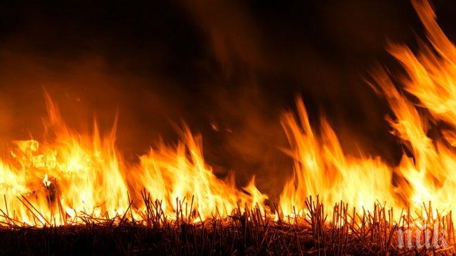 Огнена стихия погълна ферма и 10 агнета край Средец