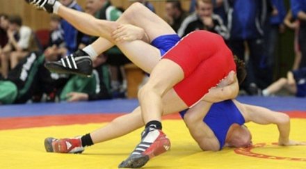 борците цска останаха без зала