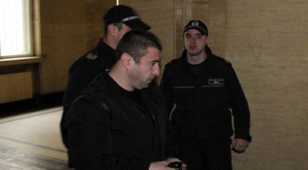 хамстера мистериозен белег главата