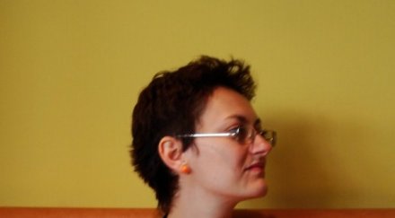 румънски експерт намира поводи спъва софия букурещ шенген