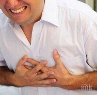 Как да оцелеем в градската жега?