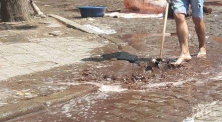 ужасяваща снимка река кръв заля пловдив