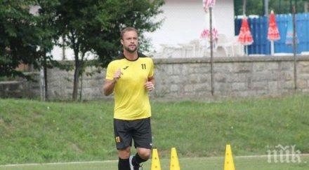 бразилско канарче излекува ахилеса