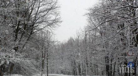 времето полудея разгара лятото падна сняг