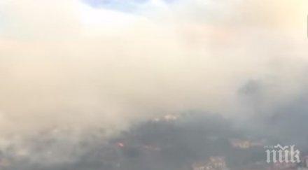 трима загинаха пожара бушува португалския остров мадейра