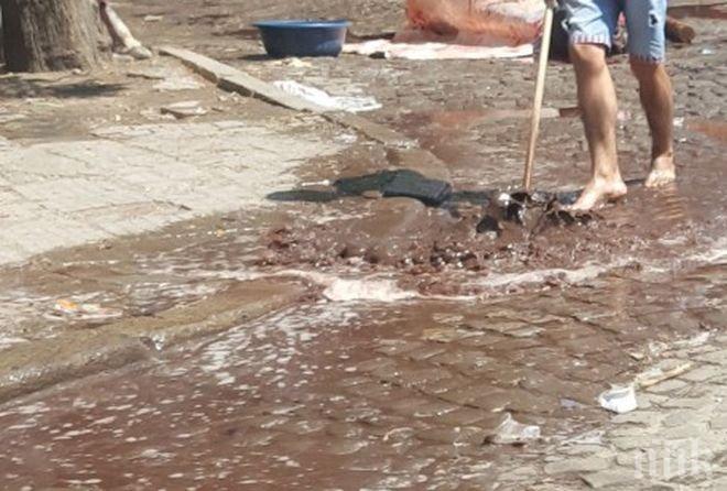 Ужасяваща СНИМКА! Река от кръв заля Пловдив (18+)