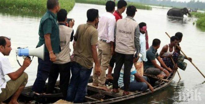 В Бангладеш спасиха слоница, носена от придошли води 1000 километра