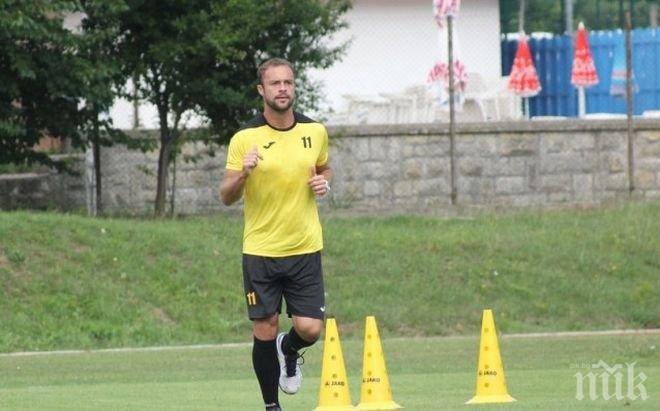 Бразилско канарче излекува ахилеса