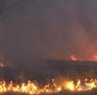 Пожарът в Калифорния пълзи към градче с 1200 жители