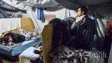 Немското контраразузнаване: Ислямисти са вербували 340 мигранти в Германия