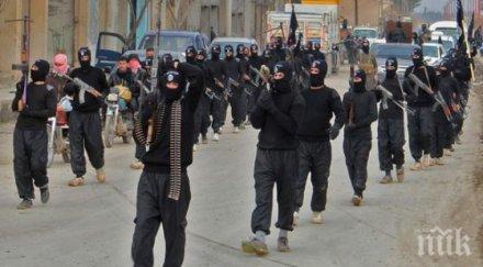 сащ разшифровали послания атентаторите бавария