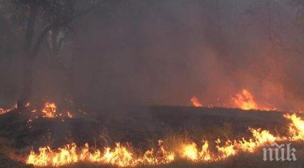 пожарът калифорния пълзи градче 1200 жители