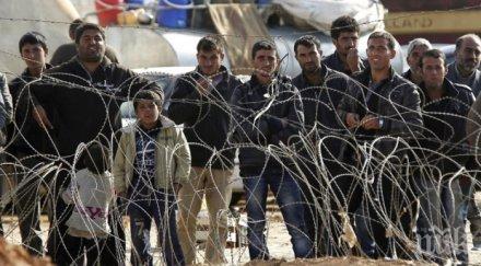 мигранти задържани опит преминат българо сръбската граница