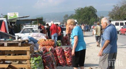 хайде зимнинатападнаха цените едро плодовете зеленчуците