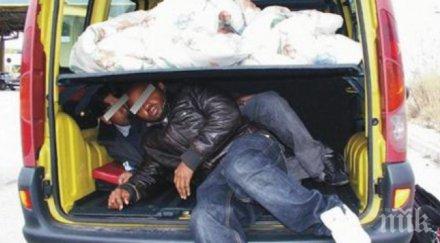 трафикант печели обществена поръчка превоз нелегални имигранти