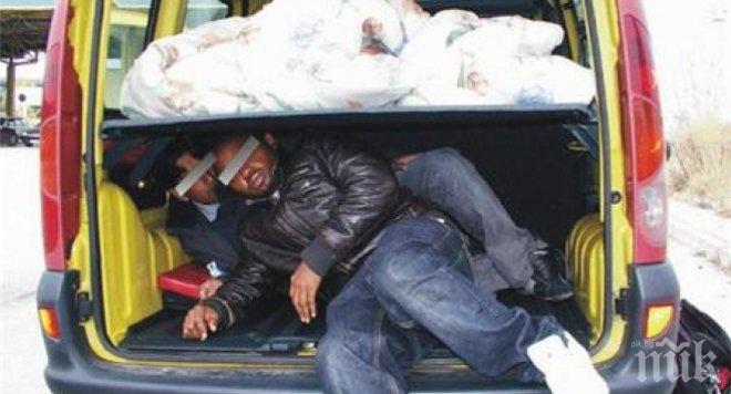 Трафикант печели обществена поръчка за превоз на нелегални имигранти