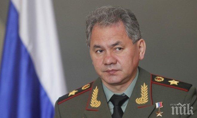 Сергей Шойгу договори военно-техническо сътрудничество със Сърбия