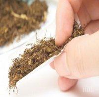 ВНИМАНИЕ! Опасна „легална дрога“ напълни магазините в Солун, идва към България!