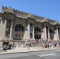 РЕКОРД: 6,7 млн. души посетили Metropolitan в Ню Йорк