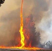 Огнено торнадо подпали ниви в Орегон!