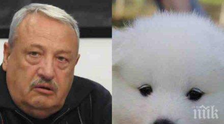 потресаваща история кучето гарелов умря адски мъки