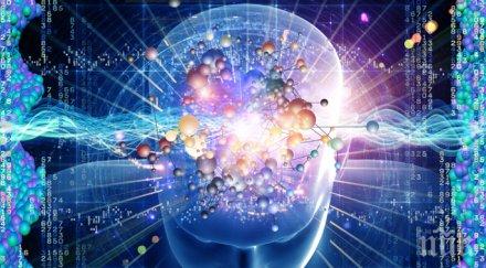 учени установиха живот смъртта