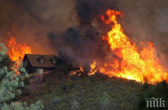 Пожар в Калифорния изпепели 100 къщи