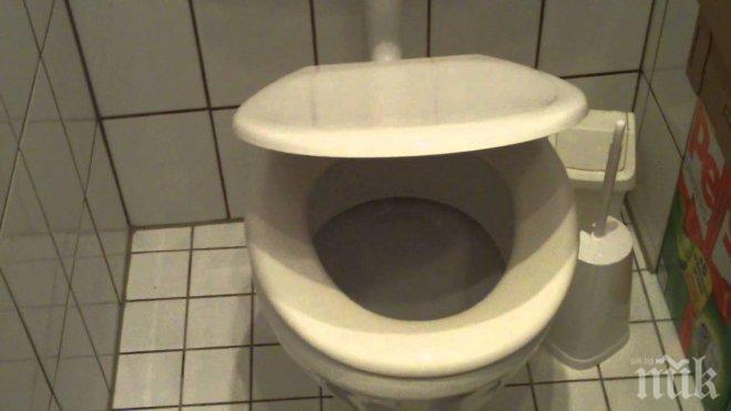 Британски тираджия намерил любовта на живота си в обществена тоалетна 