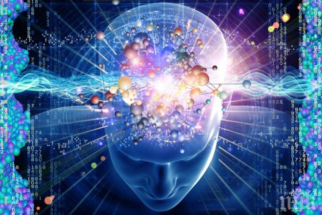 Учени установиха: има живот след смъртта!