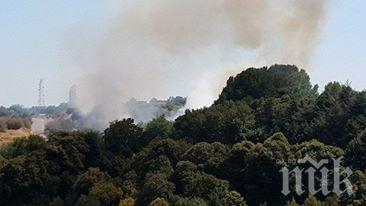 Пожар пламна на Фичоза,  засегна 4 дворни места