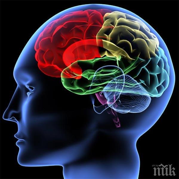 Няма да повярвате! Мозъкът ни работи и след като умрем