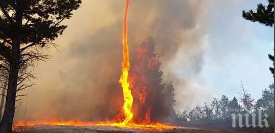 Огнено торнадо подпали ниви в Орегон!