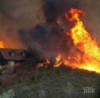 Огнен ад между Неделино и Ардино! Горят дървета в непристъпна местност