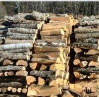 Инспектори спипаха 200 кубика незаконно добити дърва