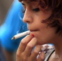 Полша обмисля легализация на марихуаната