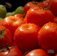 Няма такава реклама! Ето какви домати се продават в София (СНИМКА)
