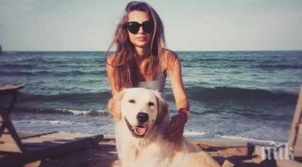 почиват звездите фукат морето разгара лятото