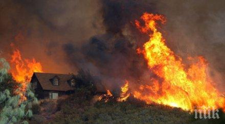 огнен неделино ардино горят дървета непристъпна местност