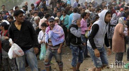 потресаващо мигрантите стават агресивни своите грозни сексуални посегателства пълнят бежанските центрове нас